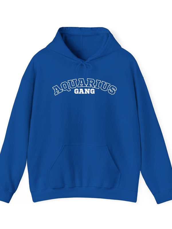 Aquarius Hoodie
