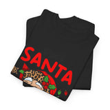 Dear Santa I Can Explain T-Shirt