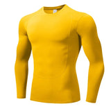 49819655012646|49819655045414|49819655078182|49819655110950|49819655209254