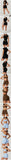 Women Sportswear Yoga Set 2PCS Sport Suit Gym Workout Clothes Short Sleeve Gym Crop Top High Waist Leggings Fitness Sports Wear